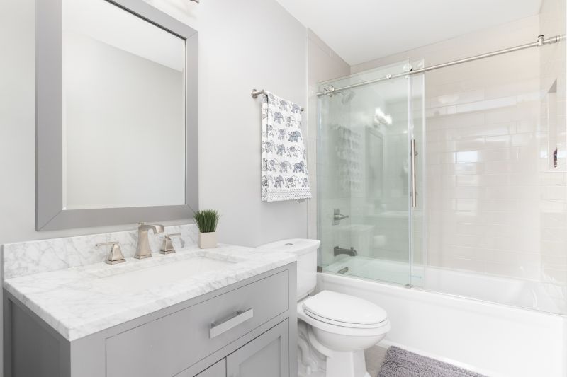 Top Tub To Shower Conversion Companies in Novi, MI
